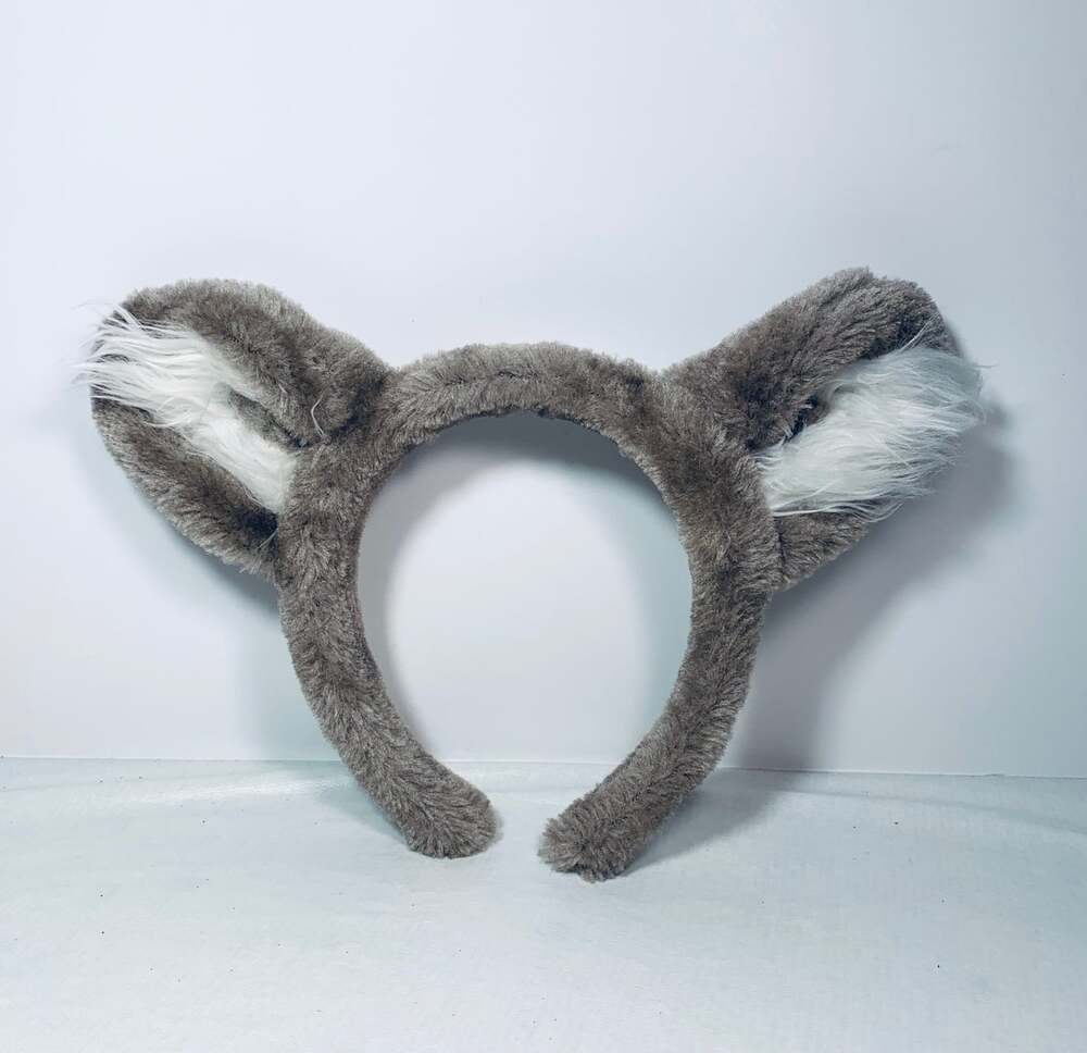 Wolf Ears Great Wolf Lodge